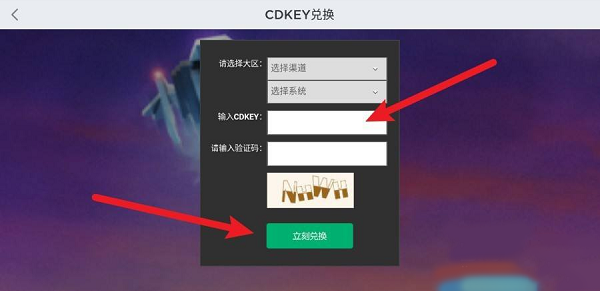 罗布乐思兑换码在哪输入？