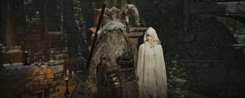 《艾尔登法环：黑夜君临》超有用的小知识分享