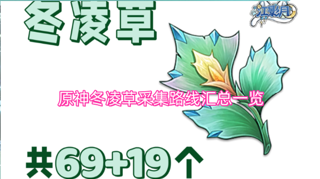 原神冬凌草采集路线汇总一览