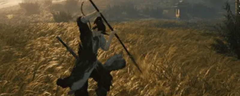 《燕云十六声》金蟾腾跃与狮吼正声介绍