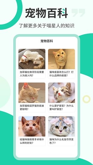 猫叫翻译机无广告版