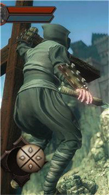 忍者刺客武士 1