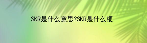 SKR啥意思-SKR是什么梗