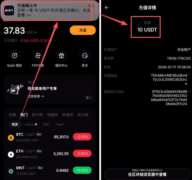 第四步:安全验证与等待到账_图2