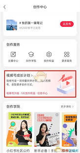 个人视频号怎么置顶评论
