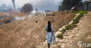 燕云十六声鹖尾在哪刷