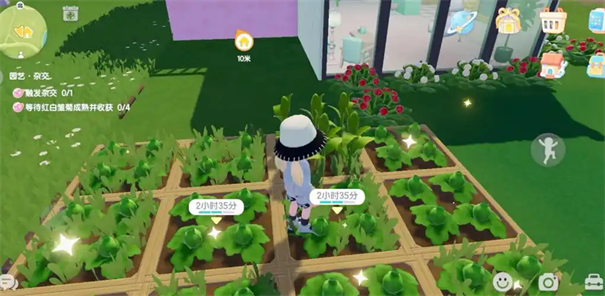 心动小镇园艺怎么快速升级