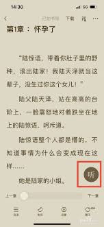 番茄小说怎么开启书籍朗读暂停续读