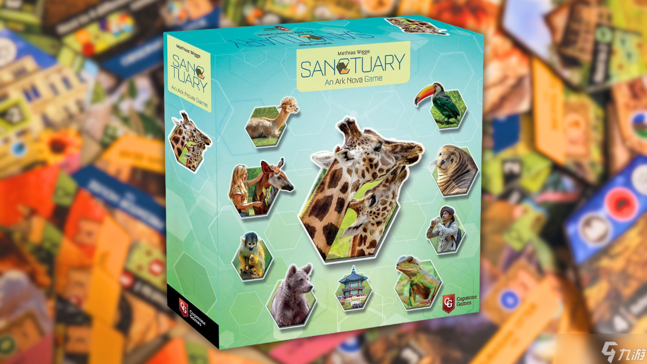 《圣所》桌游评测