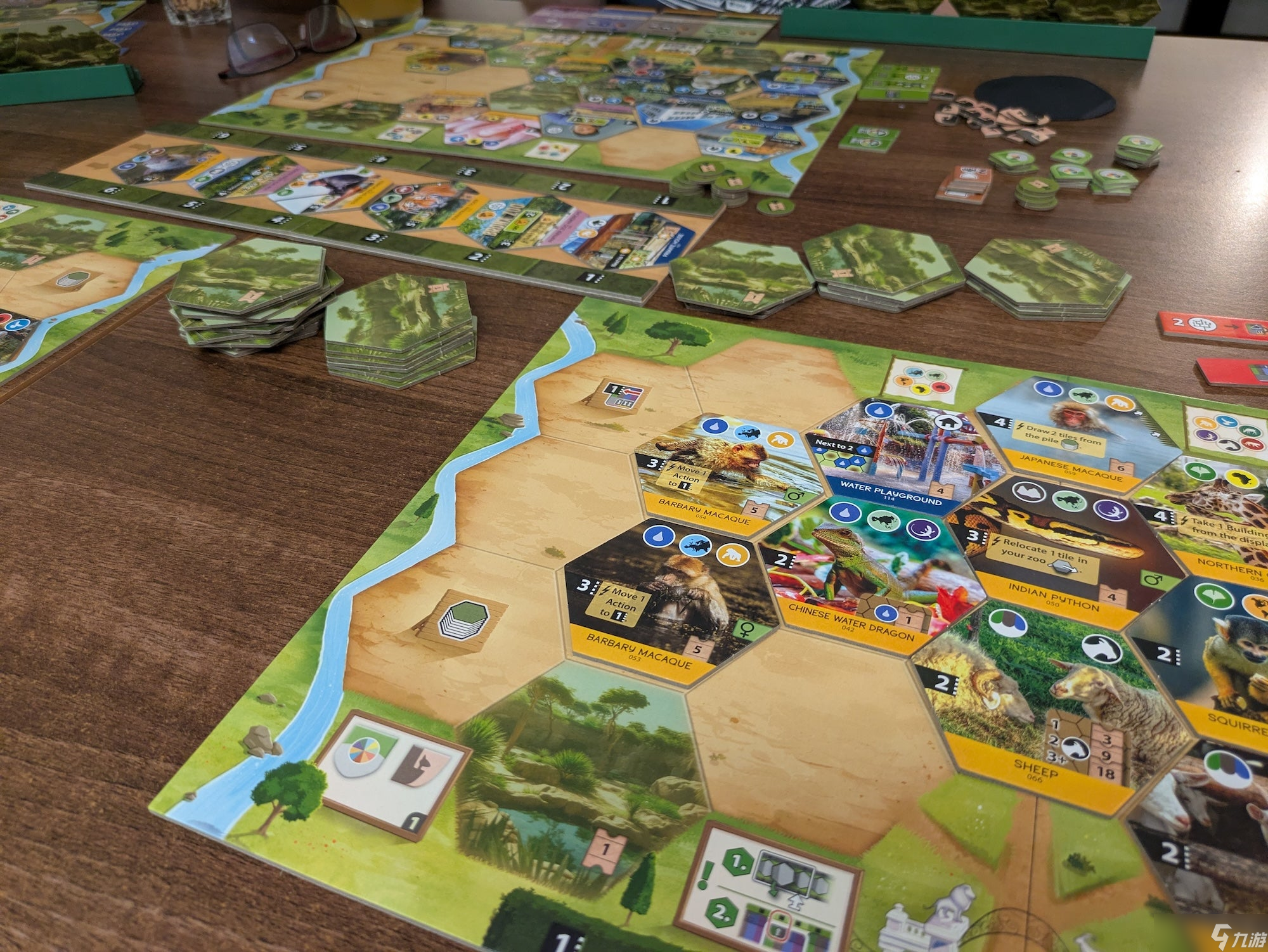 《圣所》桌游评测