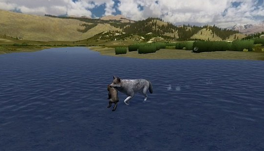 野狼谜踪动物的捕猎方法都有哪些