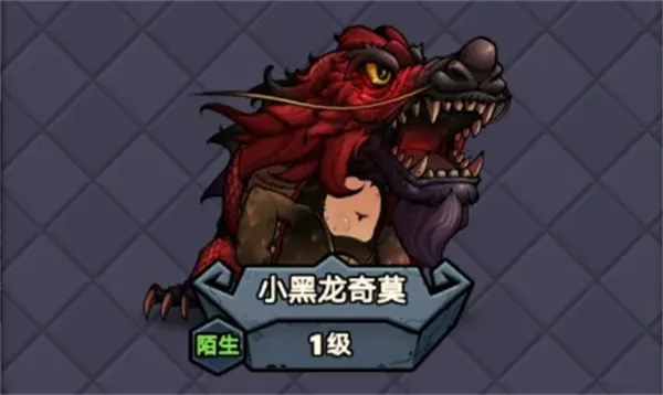 《代号肉鸽》小黑龙奇莫玩法流派分享-核心搭配与卡组解析