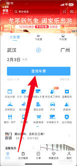 铁路12306如何查卧铺是上中下哪个铺