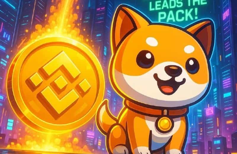 币安网页版快速登录指南-币安web3官网一键直达入口