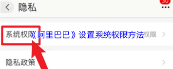阿里巴巴如何设置系统权限
