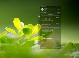 贴贴如何设置桌面插件