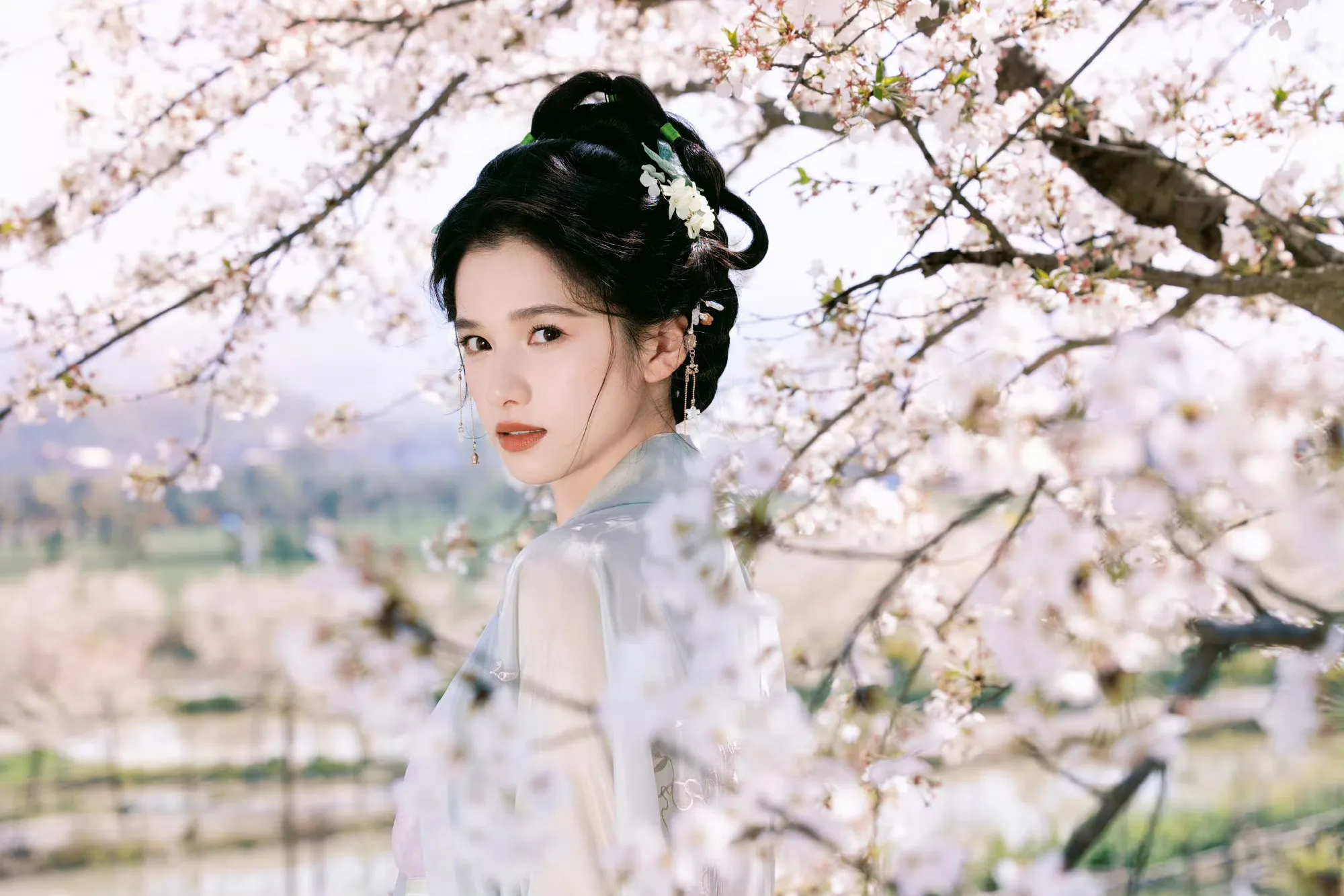 1770024520818980.png 1770024520818980.png