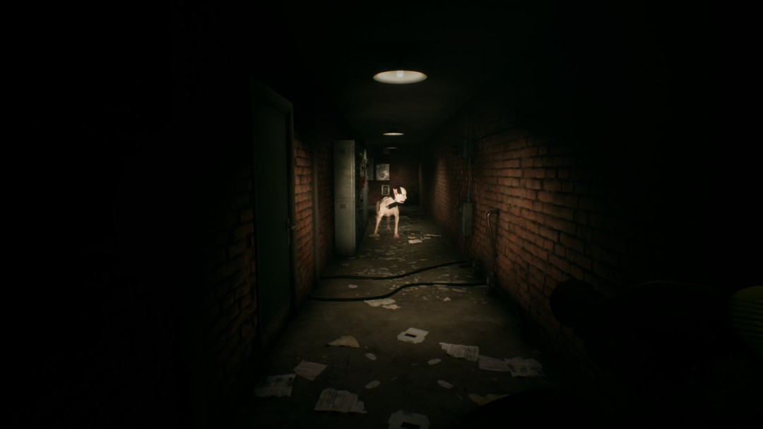 《逃离后室》第五关通关攻略分享