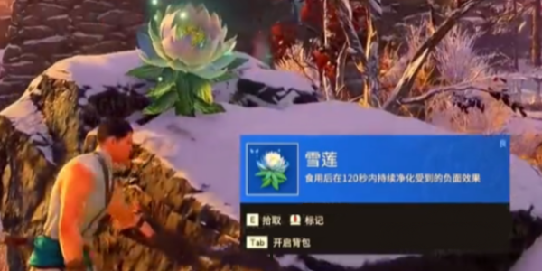 永劫无间雪莲在哪